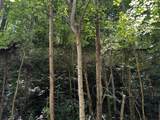 0-(Tract 8 at Titus) Parkinson Road - Photo 34