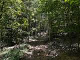 0-(Tract 8 at Titus) Parkinson Road - Photo 40