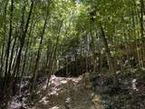 0-(Tract 8 at Titus) Parkinson Road - Photo 41