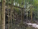0-(Tract 8 at Titus) Parkinson Road - Photo 44