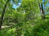 0 Buchanan Road - Photo 10