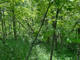 0 Buchanan Road - Photo 5