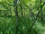 0 Buchanan Road - Photo 6