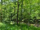 0 Buchanan Road - Photo 8