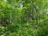 0 Buchanan Road - Photo 9