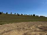 367-Lot 13987 Cardinal Point Drive - Photo 33