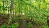 275 Bridle Path Lane - Photo 3