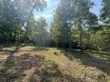 5305-(Tract 15 Skyli Clines Chapel Road - Photo 12