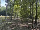 5305-(Tract 15 Skyli Clines Chapel Road - Photo 13
