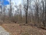 5305-(Tract 15 Skyli Clines Chapel Road - Photo 30