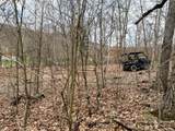 5305-(Tract 15 Skyli Clines Chapel Road - Photo 33