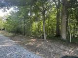 5305-(Tract 15 Skyli Clines Chapel Road - Photo 6
