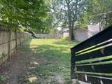 603 Siebert Street - Photo 3