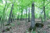 Tract 19 Zion Ridge Road - Photo 11