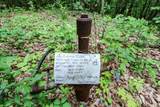 Tract 19 Zion Ridge Road - Photo 14
