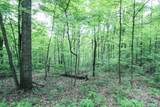 Tract 19 Zion Ridge Road - Photo 4