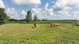 5679 White Road - Photo 49