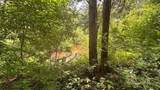 14500 Wolfe Road - Photo 4