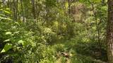 14500 Wolfe Road - Photo 5