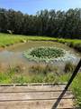 13877 Portie Flamingo Road - Photo 4