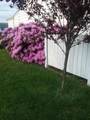 235 Cynthia Street - Photo 42