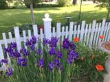 235 Cynthia Street - Photo 44
