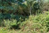 10187 Mantle Road - Photo 49