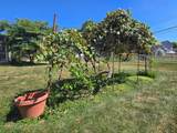 3542 Hoover Road - Photo 42