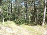 29841 Ilesboro Road - Photo 15