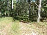 29841 Ilesboro Road - Photo 18