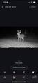 0 Leffler Road - Photo 14