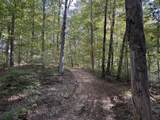 0-(Tract 4 Wolf Hill Wolf Hill Road - Photo 13