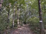 0-(Tract 4 Wolf Hill Wolf Hill Road - Photo 14