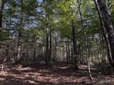 0-(Tract 4 Wolf Hill Wolf Hill Road - Photo 15
