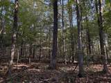 0-(Tract 4 Wolf Hill Wolf Hill Road - Photo 16