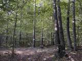 0-(Tract 4 Wolf Hill Wolf Hill Road - Photo 17