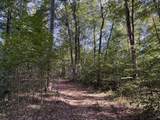 0-(Tract 4 Wolf Hill Wolf Hill Road - Photo 41