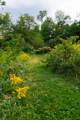14686 National Road - Photo 127