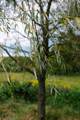 14686 National Road - Photo 130