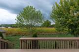 1631 Turkey Run Drive - Photo 46