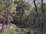 0-(Tract 6 Wolf Hill Wolf Hill Road - Photo 13