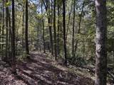 0-(Tract 6 Wolf Hill Wolf Hill Road - Photo 16