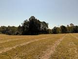 0-(Tract 6 Wolf Hill Wolf Hill Road - Photo 22