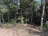 0-(Tract 6 Wolf Hill Wolf Hill Road - Photo 39