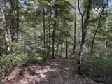 0-(Tract 6 Wolf Hill Wolf Hill Road - Photo 40