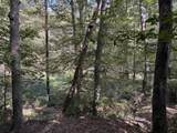 0-(Tract 6 Wolf Hill Wolf Hill Road - Photo 41