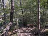 0-(Tract 6 Wolf Hill Wolf Hill Road - Photo 42
