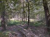 0-(Tract 6 Wolf Hill Wolf Hill Road - Photo 43