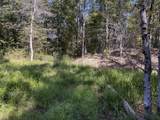 0-(Tract 6 Wolf Hill Wolf Hill Road - Photo 44