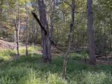 0-(Tract 6 Wolf Hill Wolf Hill Road - Photo 45